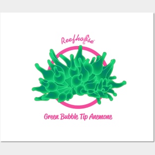 Green Bubble Tip Anemone Posters and Art